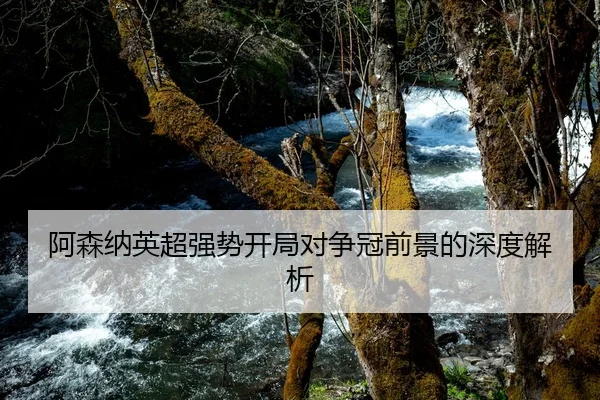 阿森纳英超强势开局对争冠前景的深度解析
