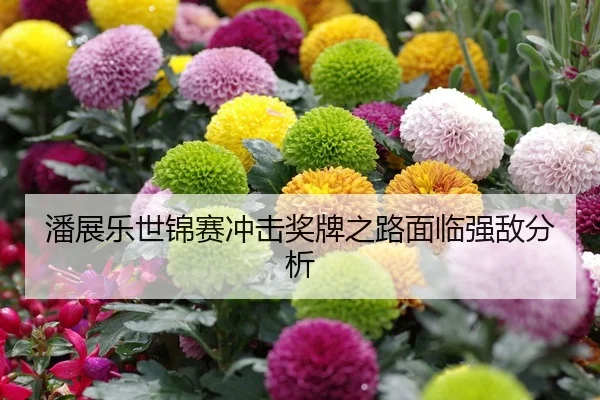 潘展乐世锦赛冲击奖牌之路面临强敌分析